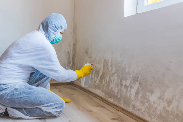 Mold inspector in Woodbridge performing thermal imaging